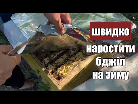 Видео: Що робити одразу після відкачки меду