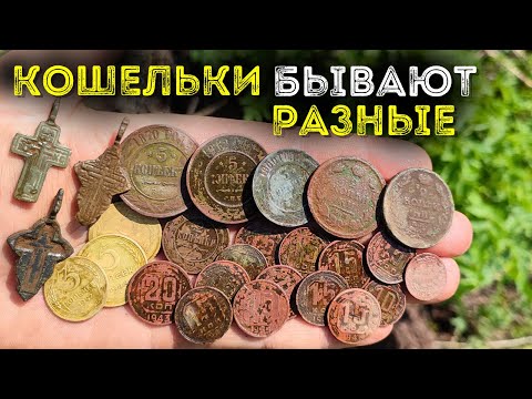 Видео: Кошелек с монетами в лесу 💰