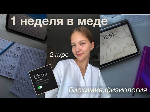 Видео: первая неделя в меде || осень, мотивация, переживания || влог 🍂