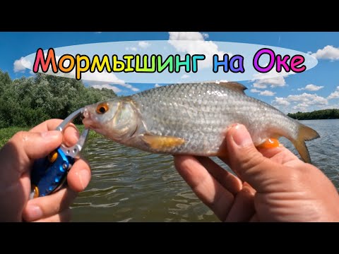 Видео: Мормышинг на Оке ! Ловля в Сильный ветер ! Рыбалка на реке Ока !