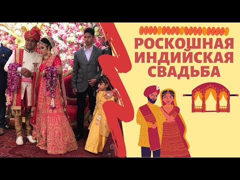 Видео: Свадебная Индия | Роскошная индийская богатая индуистская свадьба  | Gorgeous rich Indian wedding