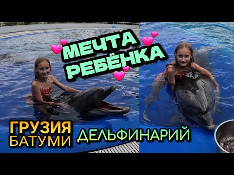 Видео: ПЛАВАТЬ С ДЕЛЬФИНАМИ - СБЫЛАСЬ МЕЧТА РЕБЁНКА / Грузия, Батуми, дельфинарий / Июнь 2023