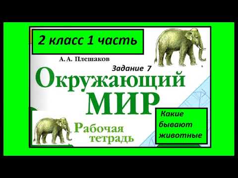Видео: Какие бывают животные 7 задание. Окружающий мир 2 класс рабочая тетрадь. Земноводные