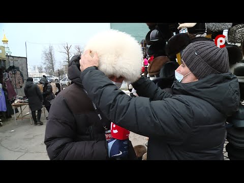 Видео: Что вижу, то пою. Выпуск №109
