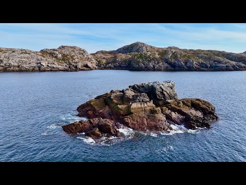 Видео: Минтай, скумбрия и НОВЫЙ ВИД — Ловля рыбы на приманку — Западное побережье
