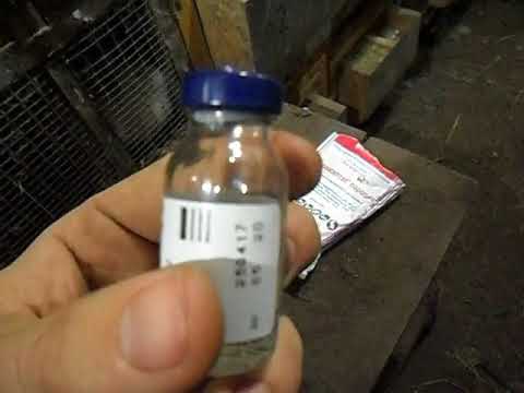 Видео: Лечение инфекционного ринита у кроликов - продолжение