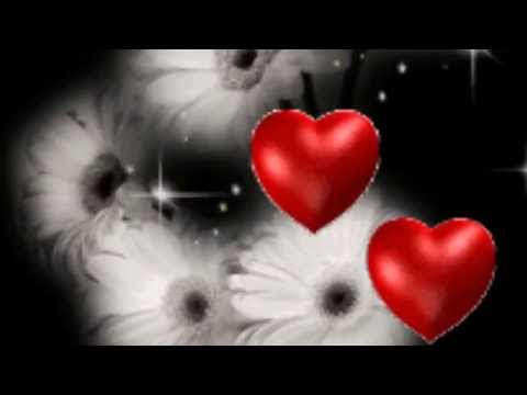 Видео: Два одиноких сердца, две души