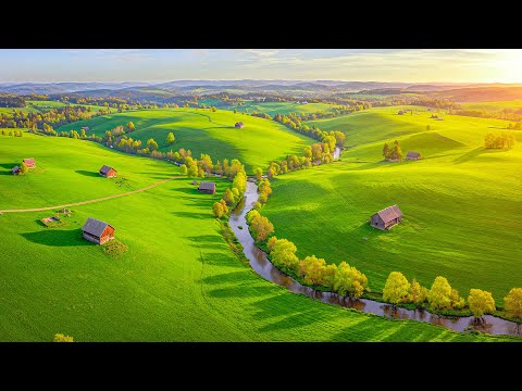 Видео: Расслабляющая музыка для снятия стресса, тревоги и депрессии 🌿 Исцеление тела и души