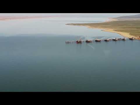 Видео: Мост через Бухтарминское водохранилище, сосновый бор в Скалистом, май 2023 года