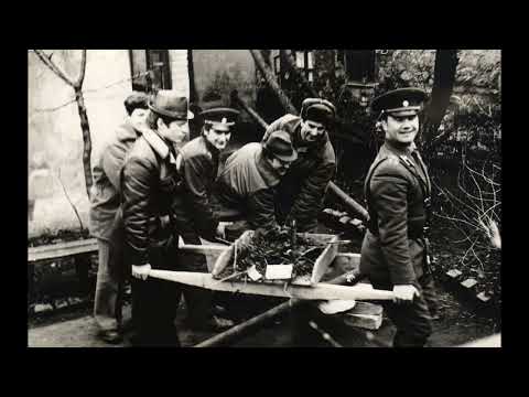 Видео: День Советской Пожарной охраны, 17.04.2024