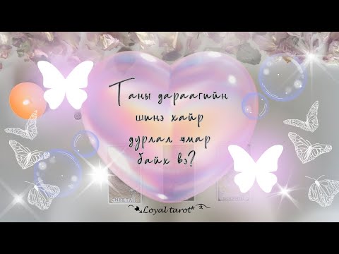 Видео: 🦋🫧🩵 Таны дараагийн шинэ хайр дурлал ямар байх вэ? 🫧🦋🩵 /Нэмэлттэй/
