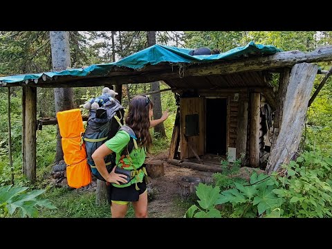 Видео: ОДНА  4 ДНЯ ЖИВУ в ИЗБЕ в ТАЙГЕ! ЗАГОТАВЛИВАЮ ДРОВА. Часть 2.