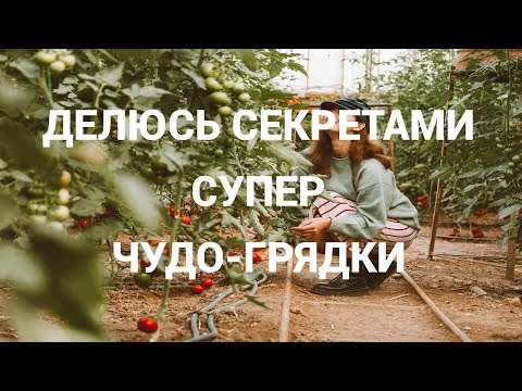 Видео: Супер Чудо грядка/ Лайфхаки/ Делайте так и получайте огромный урожай/ Делюсь секретами