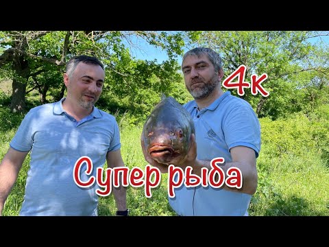 Видео: Жареная рыба в казане в лесу, ЭТО БЛЮДО ПОКОРИТ ЛЮБОГО ГУРМАНА!!!