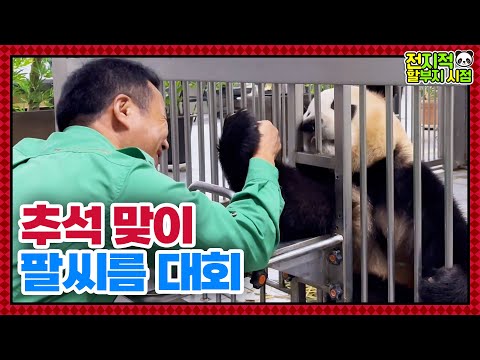 Видео: (SUB) Человек против Панды! Кто победит в армрестлинге?🐼│Мир Панд