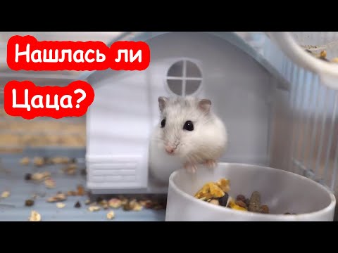 Видео: Только не это