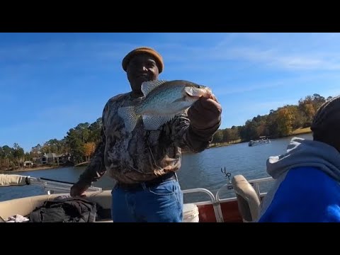Видео: Начало работы с Livescope: основы | Как и на что обращать внимание при ловле краппи