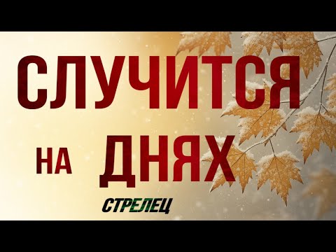 Видео: ✅ СТРЕЛЕЦ,♐️, это ♣️♦️СЛУЧИТСЯ на ❇️ ДНЯХ, таро, гороскоп, стрелец неделя таро, 10-16.11.2025, 