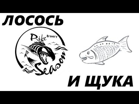 Видео: Лосось и Щука | Пивоварня Pike Season