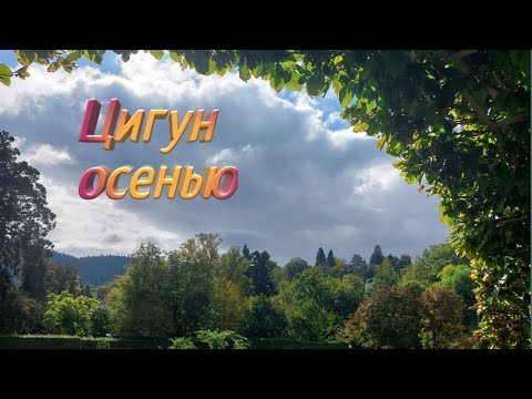 Видео: 5 Вэй Ци. Элемент металл. Очищение от печали.