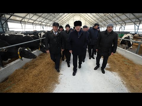 Видео: Лукашенко: Что у вас за привычка збрахаць? // Смолевичский район