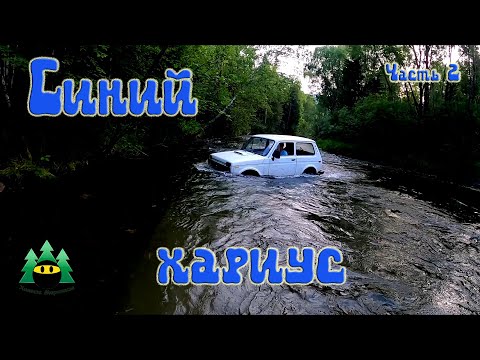 Видео: Синий хариус. Часть 2. Off-road.