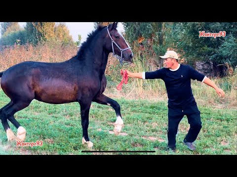 Видео: Абайдын чон Оспуруму +996-501-960-666.  7 октября 2025 г.