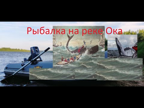 Видео: Рыбалка на реке Ока. Летние кружки и закидушки.