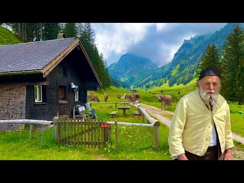 Видео: Жизнь в швейцарской альпийской деревне | Мы выпустили тысячи коров в горы и на зеленые луга
