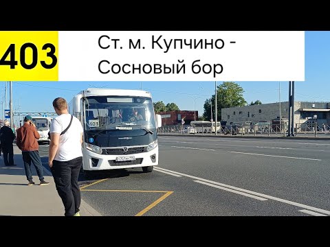 Видео: Автобус 403. Ст. м. Купчино - Сосновый Бор