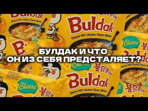 Видео: 7 МИНУТ АДА С БУЛДАКОМ