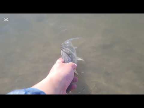 Видео: Осенняя рыбалка (осенняя рыбалка)