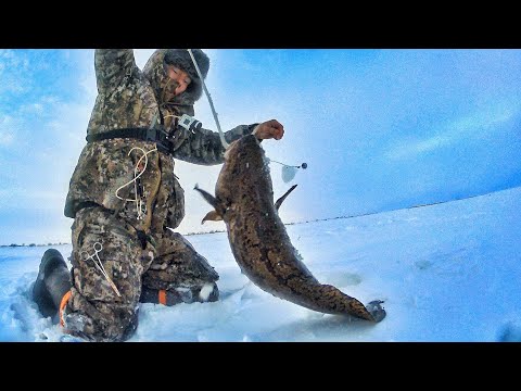 Видео: КРУПНЯК ПРИПЛЫЛ ПОД УТРО!!!! КРУГОМ ЗАГАРЫ!!! ЗИМНЯЯ РЫБАЛКА 2025!!! ЛОВЛЯ НАЛИМА ЗИМОЙ!!!