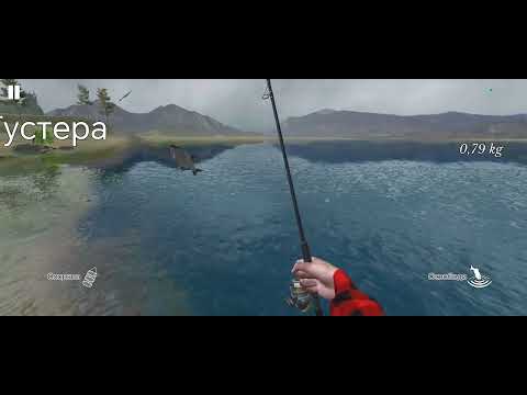 Видео: Мой первый выпуск игры Ultimate Fishing Simulator. Ловля: карася, плотвы, уклеи и густеры! 
