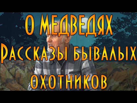 Видео: О медведях, рассказы бывалых охотников ( д.Толя, Иваныч )