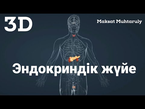 Видео: Эндокриндік жүйе|Бездер