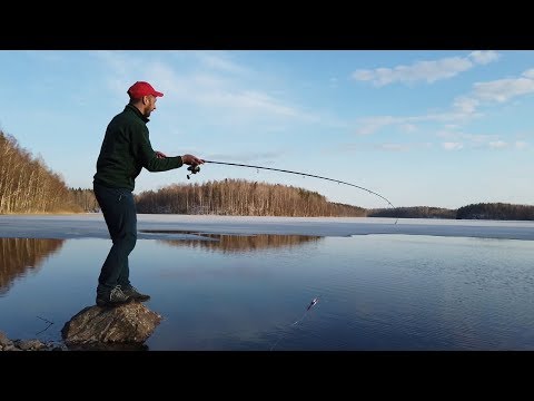 Видео: Карельский перешеек. Вуокса. Любимовское озеро. Разведка перед открытием летнего сезона рыбалки.