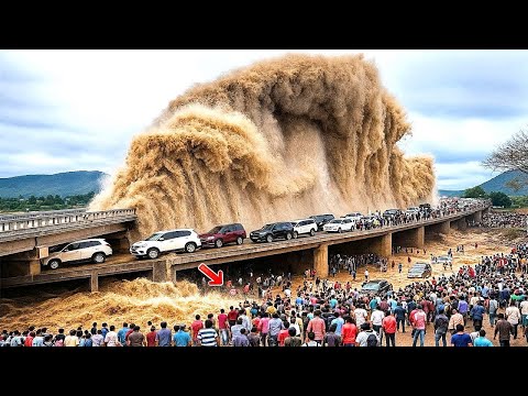 Видео: 60 самых невероятных моментов природы, когда-либо снятых на камеру