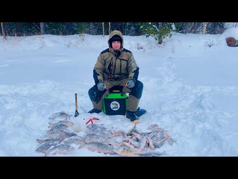 Видео: Язь, Окунь и Сорога, размером с Язя, удачная рыбалка в середине января. Зимняя рыбалка 2024. Часть 2