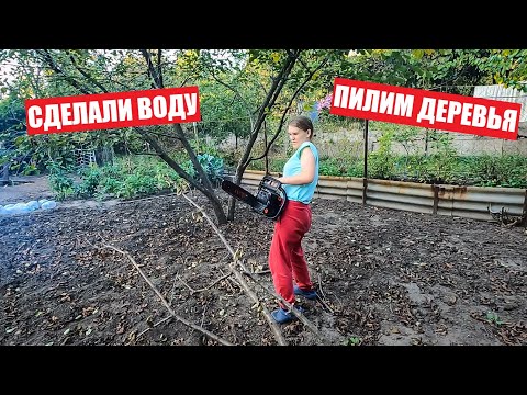 Видео: ДАЧА МЕЧТЫ серия 5!  Заводим воду в домик и пилим лишние деревья!