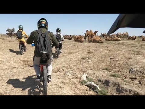 Видео: На пикник на электро байках 31.08.25