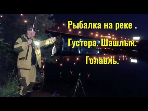 Видео: Рыбалка на реке. Густера. Шашлык. Голавль. #рыбалка #рыбалканафидер #фидер