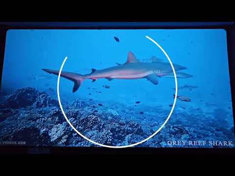 Видео: Проектор ✔️🍿 Magcubic HY350 MAX Unboxing