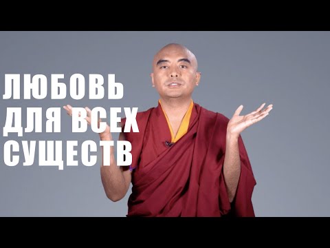 Видео: Любовь ко всем существам | Мингьюр Ринпоче