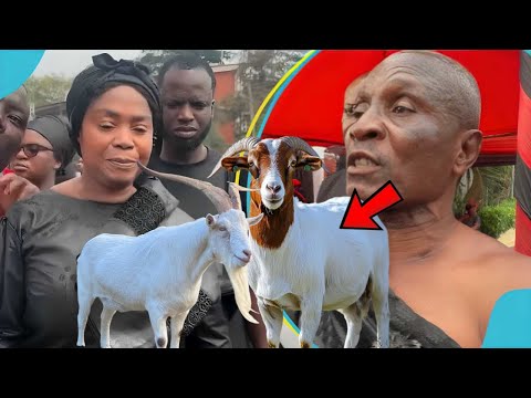 Видео: Ого 😱 Абусуапанин папы Лумбы найден с козами во дворце Манхия