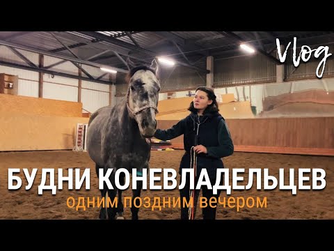 Видео: Будни коневладельцев: Одним поздним вечером