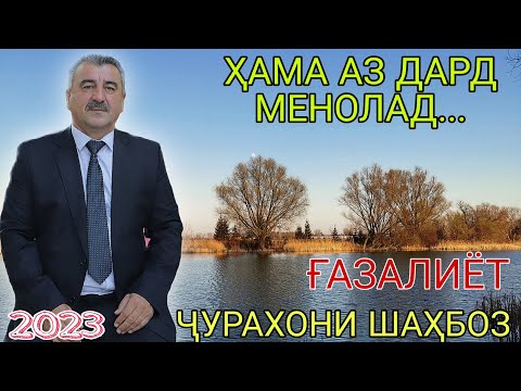 Видео: Ҷурахони Шаҳбоз ҳама аз дард менолад ғазалиёт нав баҳри фарогати Шумо дустон гуш кн роҳат кн  2023