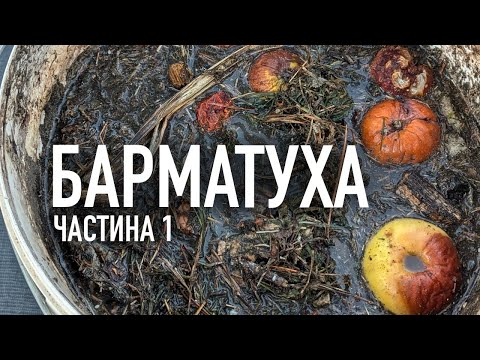 Видео: Підвищуємо родючість ґрунту за допомогою БАРМАТУХІ , рецепт з каналу " Плодородие Земли" .