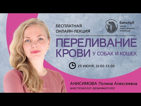 Видео: Переливание крови у собак и кошек