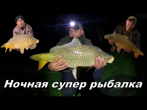 Видео: Ночная супер рыбалка, бой с великим Джюнжюром!
